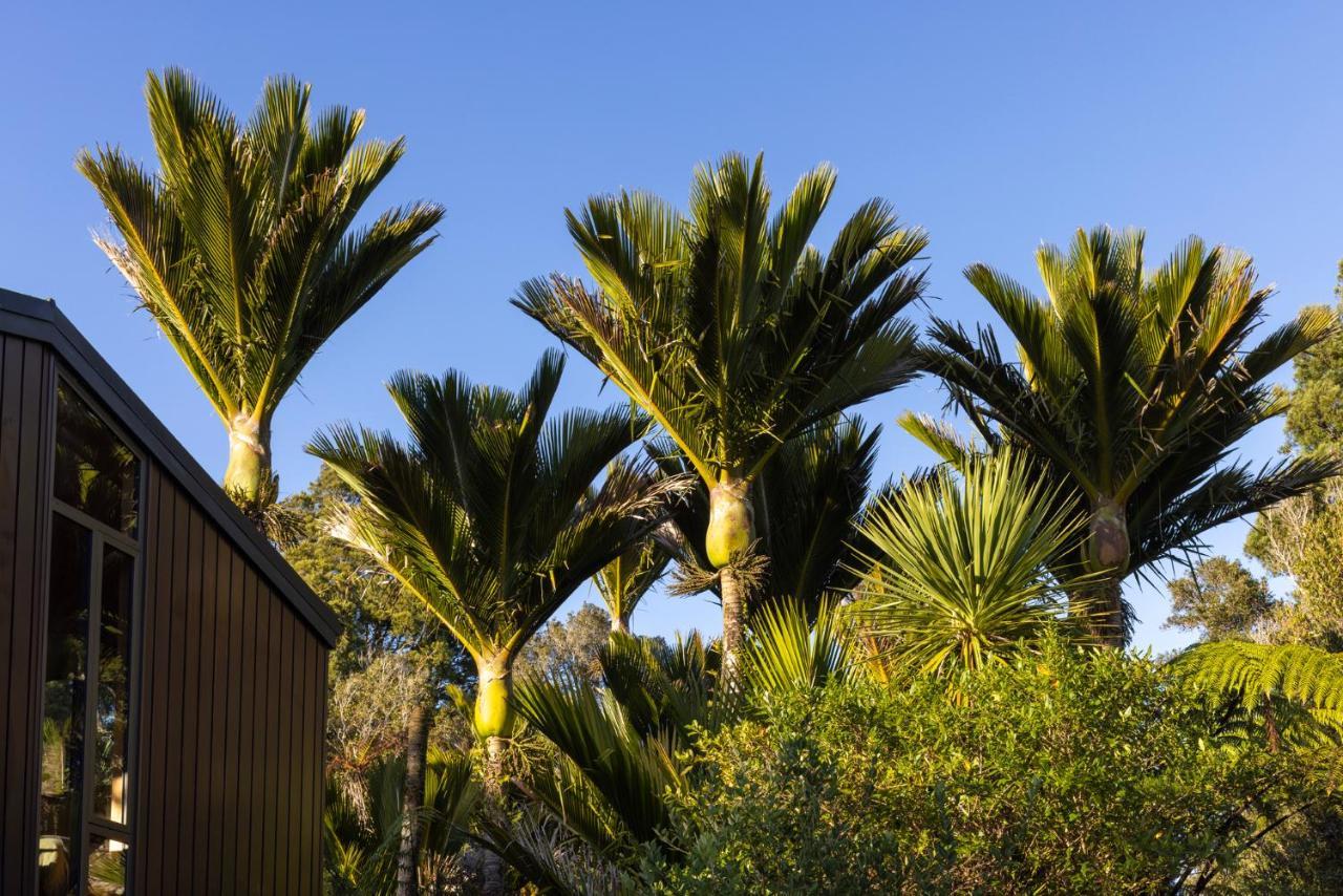 Punakaiki Forest Retreat Dış mekan fotoğraf